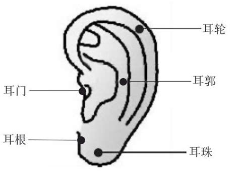 耳朵痣男|男人耳朵有痣的命运 图解分析